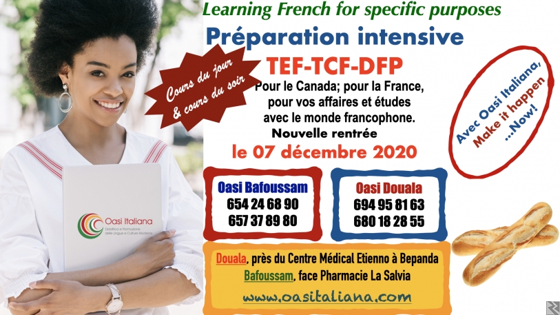 Main image of Cours de français  préparation TCF TEF DFP