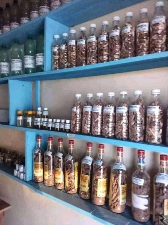 Image principale de Écorce efficace