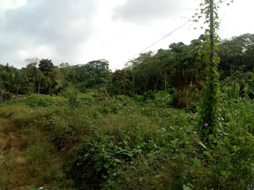 Image principale de vente d'un terrain