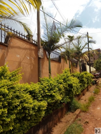 Image principale de Villa spacieuse,  titrée de 12 pièces bà¢tie sur une superficie de 500m2, à  vendre au quartier MIMBOMAN