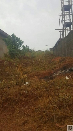 Main image of 350m2 de terrain pl