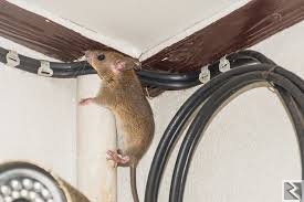 Image principale de Offre de service