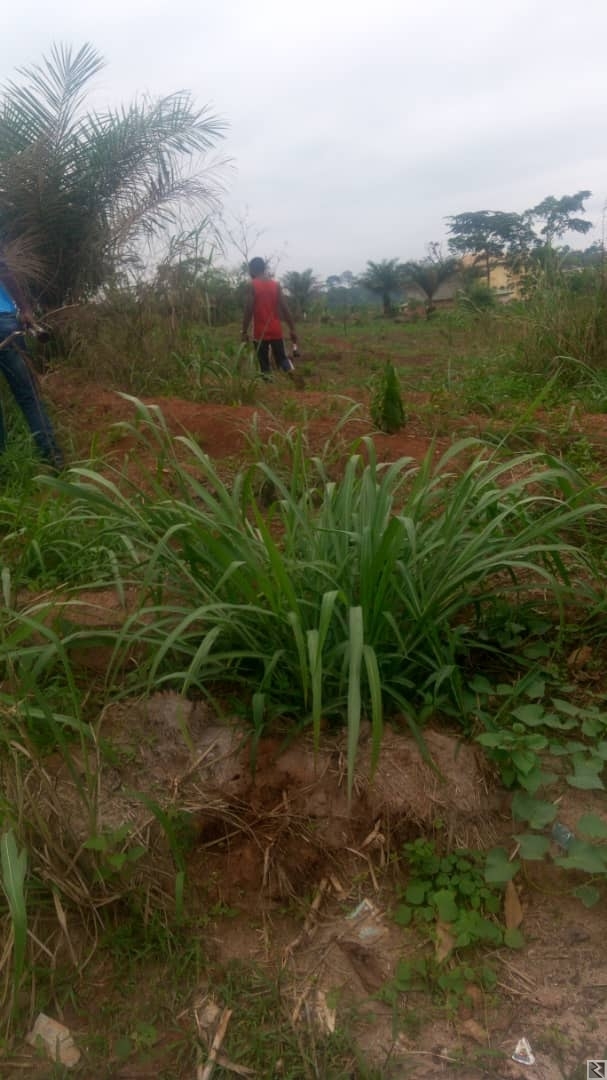 Image principale de vous cherchez une maison