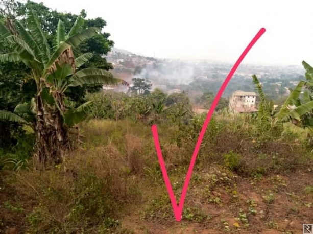 Main image of Terrain commercial  titré et lotis à  vendre