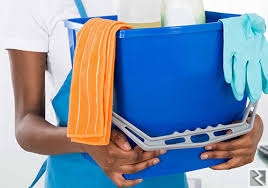 Image principale de Placement de femmes de ménage