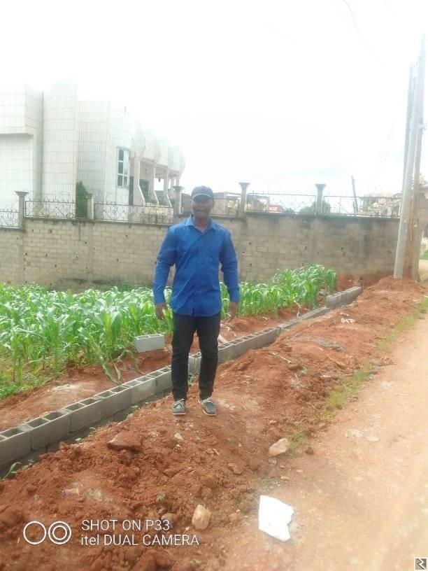 Main image of Construction et réfection de bà¢timents