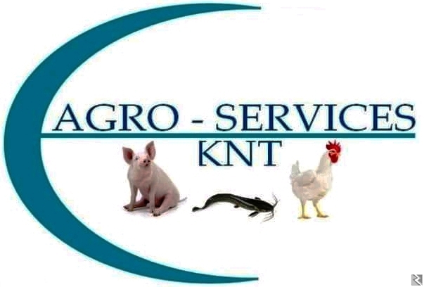 Main image of Formation en Pisciculture