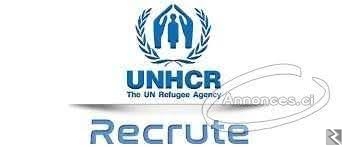 Main image of PROGRAMMES DES JEUNES ADMINISTRATEURS UNHCR CANADA