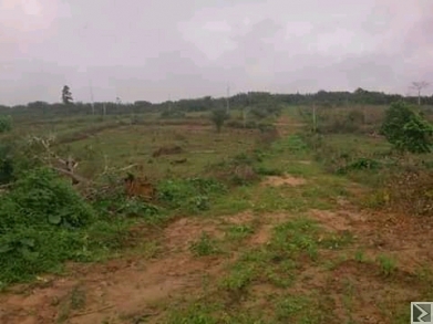 Main image of Terrains titré et lotis à  vendre