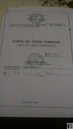 Image principale de Terrain titré, bien placé, d'une superficie de 1051m2 titré , à  vendre du coté de OLEMBE derrière le stade