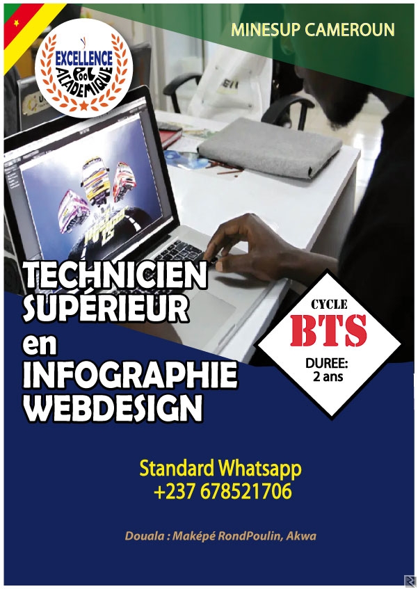 Main image of BTS EN INFOGRAPHIE WEB DESIGN DOUALA