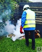 Main image of SERVICE DE DERATISATION DESINSECTISATION