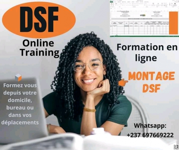 Main image of Formation Montage DSF en ligne