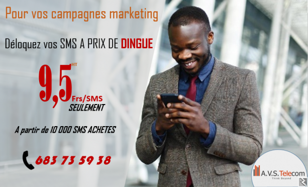 Main image of Promo SMS de masse
