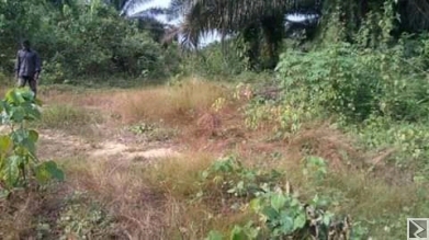 Image principale de Terrains titrés et Morcelé à  vendre