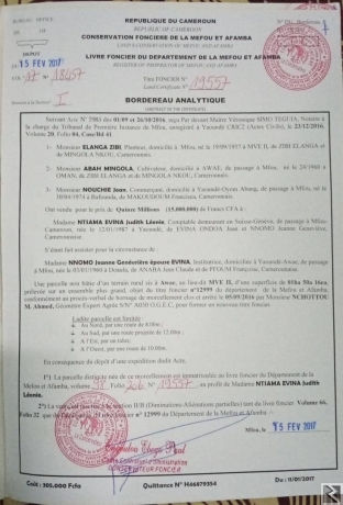 Main image of Terrain de 1ha5000m2 titré a vendre a Elat a 200