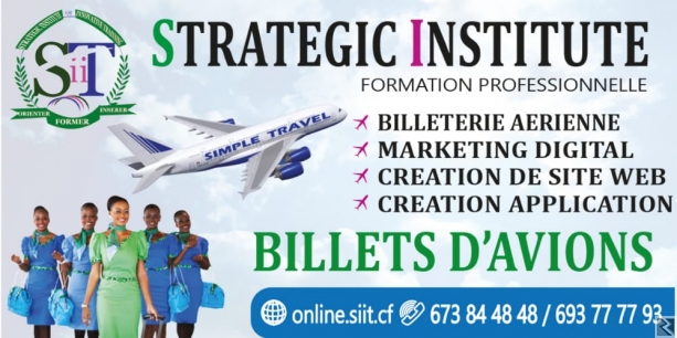 Main image of NOS FORMATIONS PROFESSIONNELLES A LA SIIT