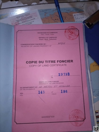 Main image of Plusieurs hectares de terrain agricole titré à 