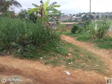 Image principale de Terrain titré à  vendre à  KONDENGUI