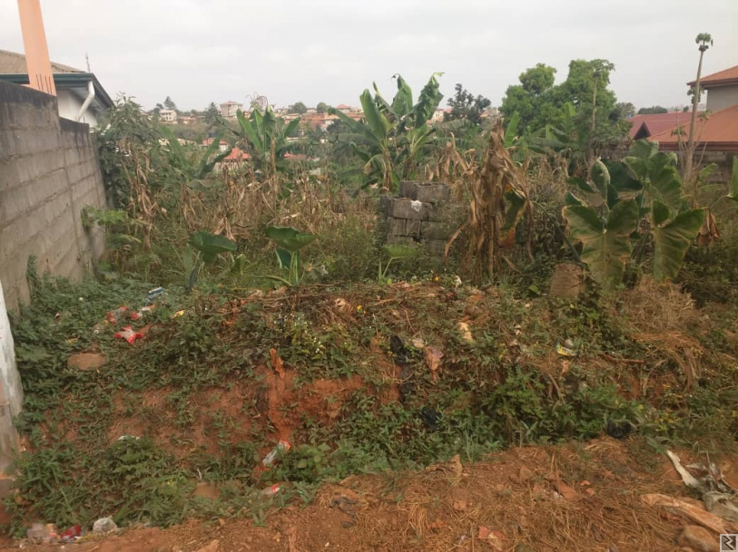 Main image of 1000m2 de terrain titré à  vendre à  Nkolnda