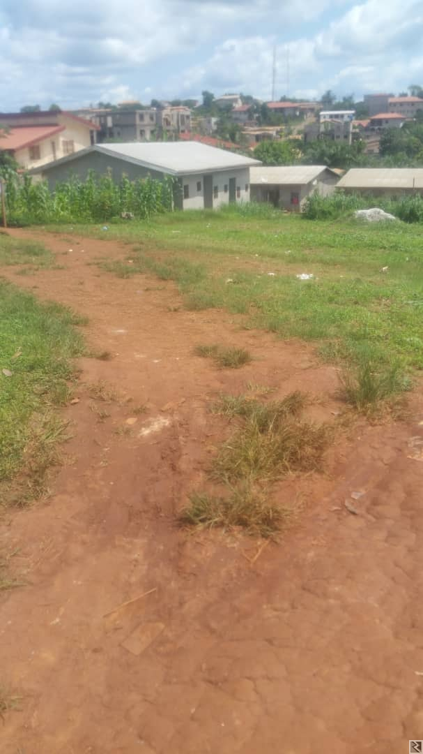 Main image of 1000m2 de terrain titré  à  vendre à   Awae