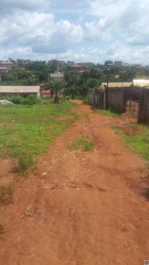 Main image of 1000m2 de terrain titré  à  vendre à   Awae