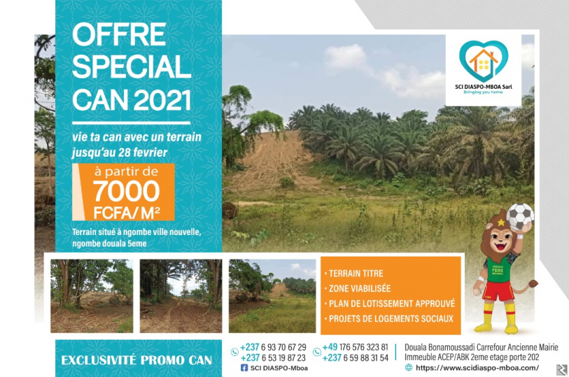 Image principale de TERRAIN A VENDRE