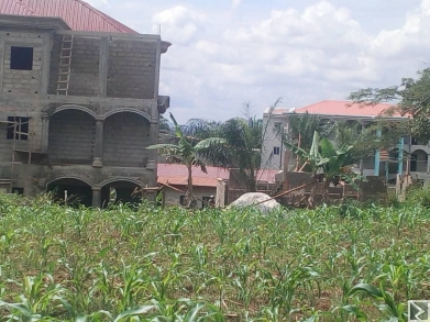 Image principale de Terrain d'une superficie de 1000m2 titré , à  vendre à  NKOL ANGA  carrefour
