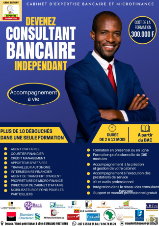 Image principale — Formation Emploi en Banque et Microfinance