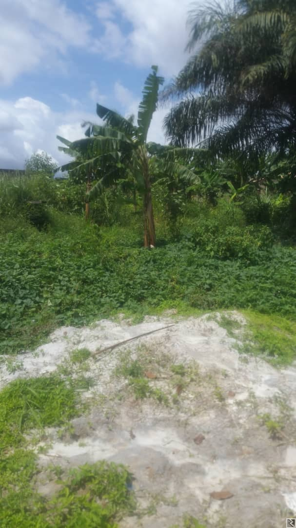 Main image of 1000m2 de terrain titré à  vendre a Awae maison