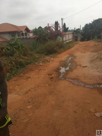 Main image of 1000m2 de terrain titré à  vendre à  Nkolnda