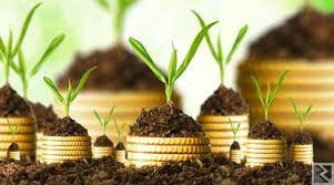 Main image of Campagne de financement des microprojets