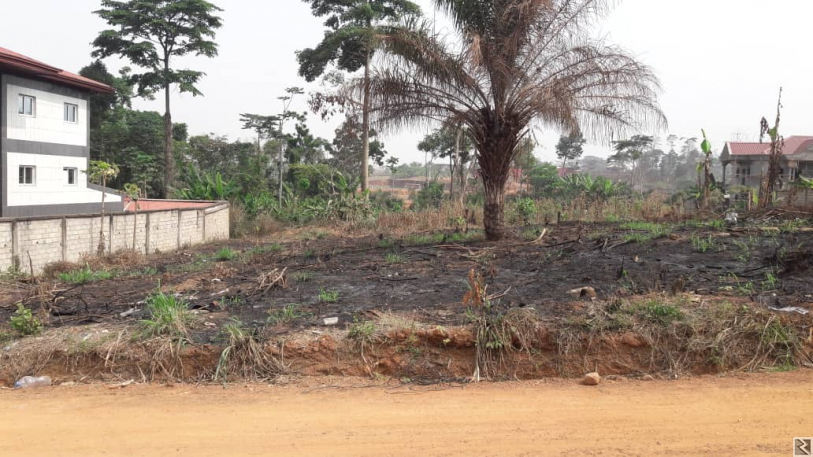 Main image of Terrain en vente odza