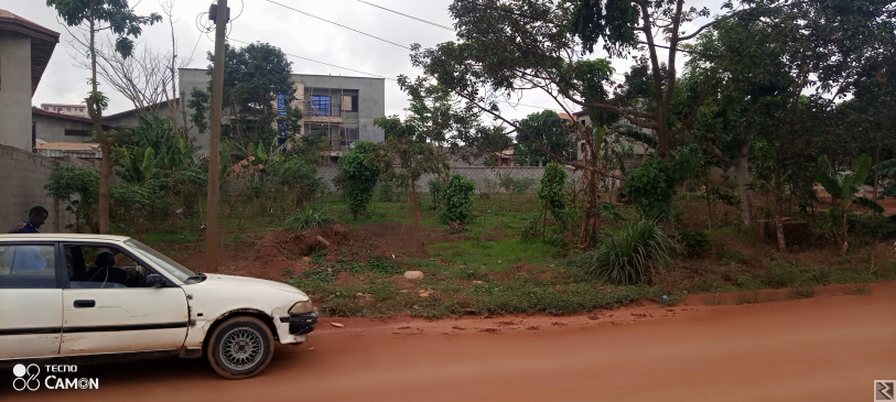 Main image of Terrains titré en vente Au quartier damase