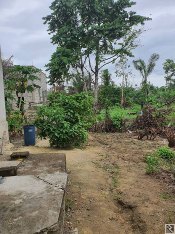 Main image of Terrain titré à  vendre à  Mbwang bakoko