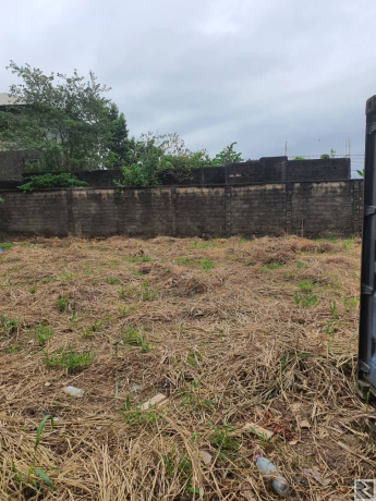 Main image of Terrain titré à  vendre à  logbessou