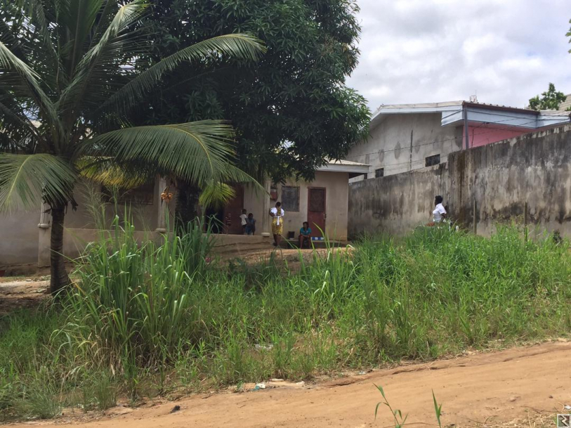 Image principale de Maison a vendre a Ngodi bakoko Lieu dit Ari