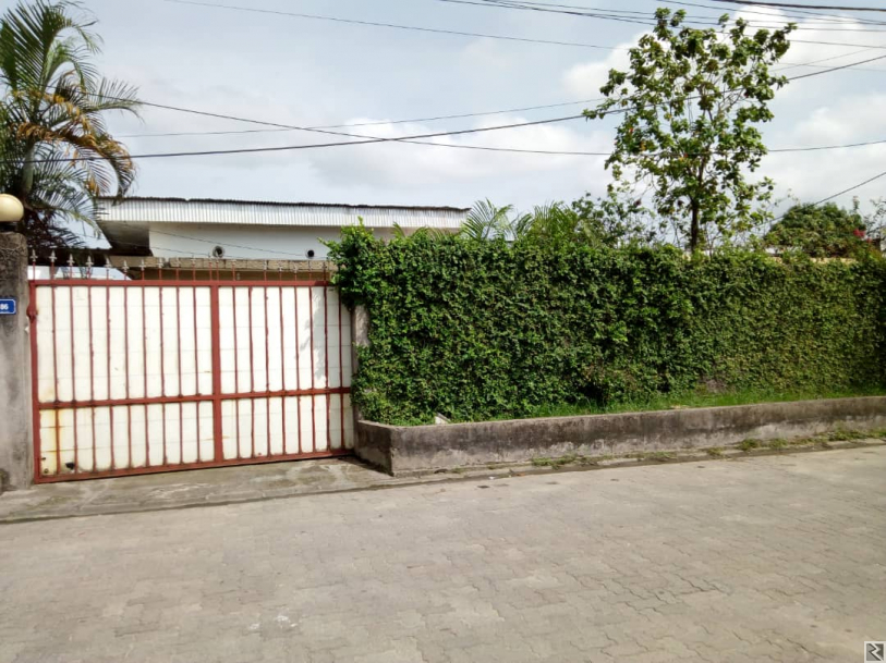 Image principale de Terrain plus maison à  vendre à  Bonapriso