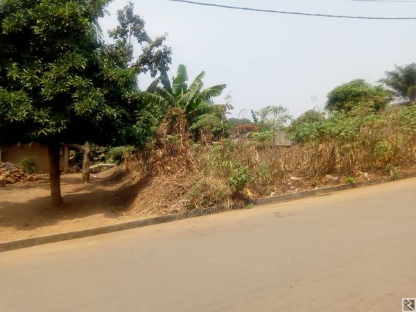 Main image of 845m2 de terrain titré bien placé à  Etoug Ebe