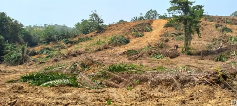 Image principale de TERRAIN A VENDRE