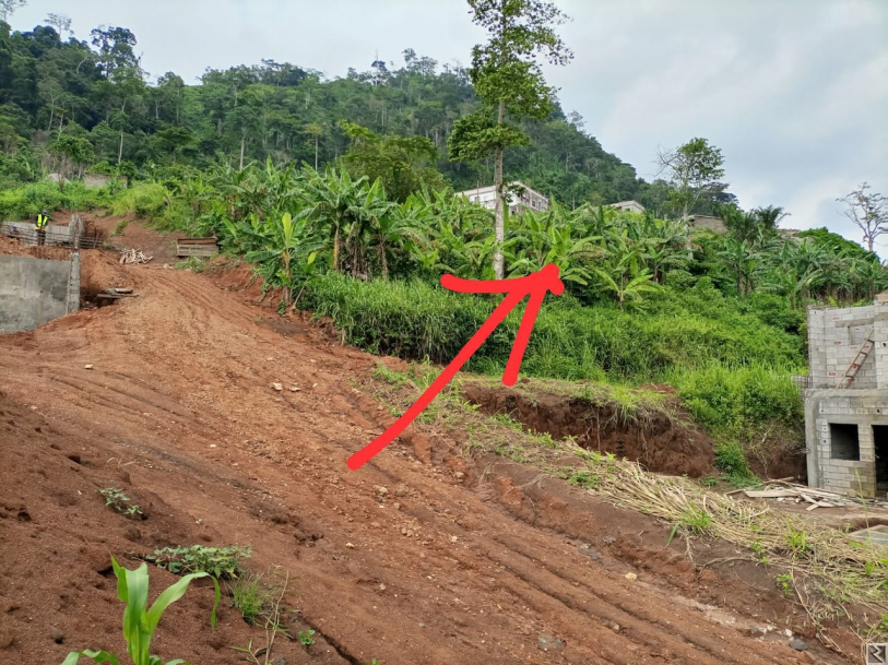 Main image of Magnifique terrain à  vendre Au Golf-Parcours Vita