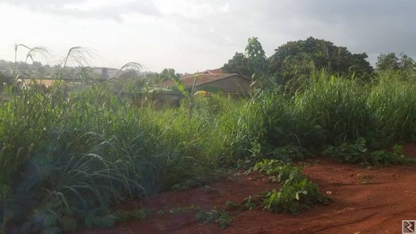 Main image of Terrain titré à  vendre à  Elande avant