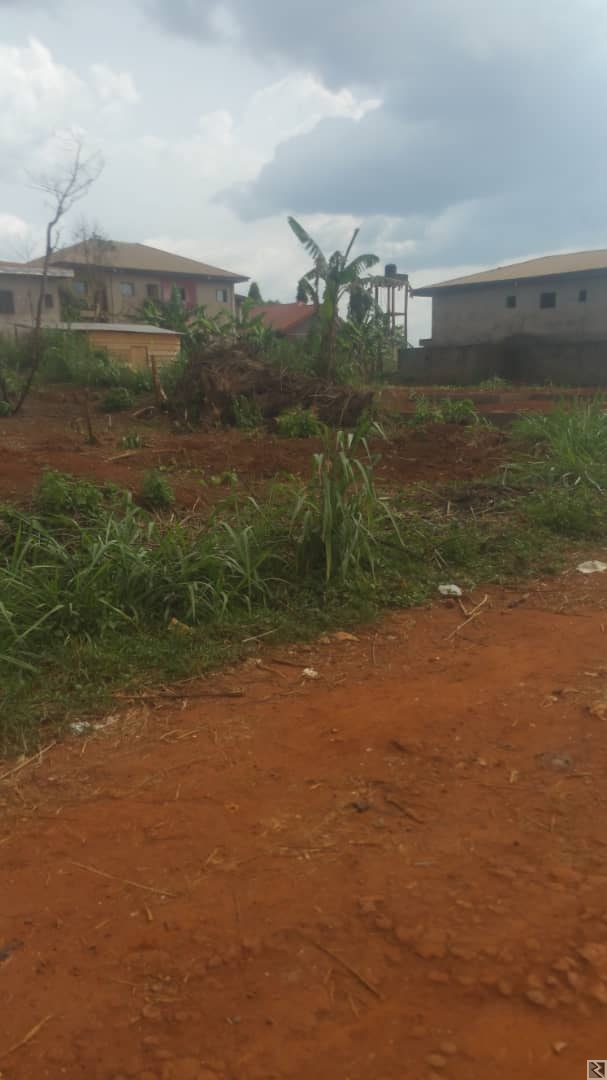 Main image of Terrain titré à  Awae derrière le collège Monti