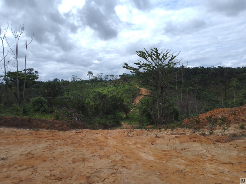 Image principale de Terrain à  vendre a Kendeck