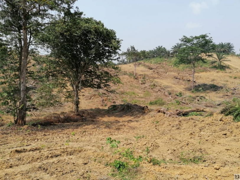 Main image of TERRAIN A VOTRE DISPOSITION