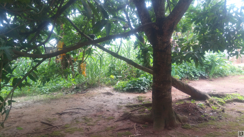 Main image of TERRAIN COMMERCIAL 702m2  AVEC MAISON EN VENTE