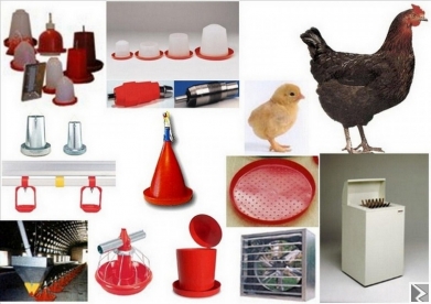 Image principale de BCI compagny international items