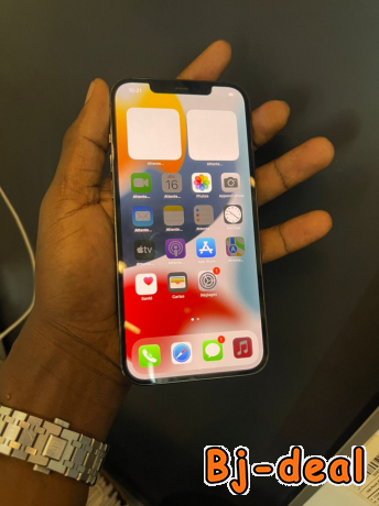 Main image of iPhone 12 Pro Max 512gb info 692608772