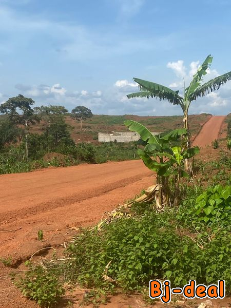 Main image of Tsinga village terrain titré à vendre