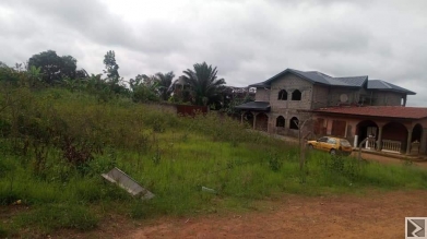 Image principale de Terrain d'une superficie de 1108m2 titré , à  vendre à  ODZA Borne 10, à  quelques mètres de la route avec des constructions aux alentours.